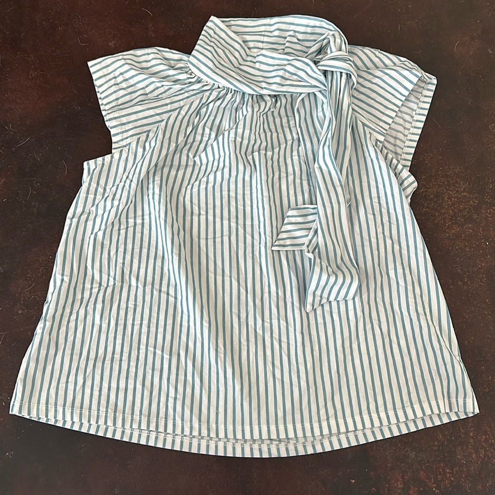 Ann Taylor Blouse